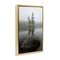 Stupell Industries Duo Trees Lake Reflection Floating Frame, design by James Rodewald